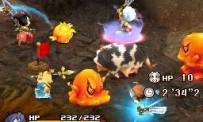 Final Fantasy Crystal Chronicles : Echoes of Time