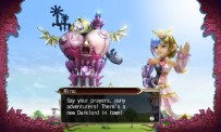 Final Fantasy Crystal Chronicles : My Life as a Darklord