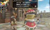 Final Fantasy Crystal Chronicles : My Life as a King