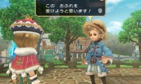 Final Fantasy Crystal Chronicles : My Life as a King