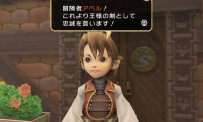 Final Fantasy Crystal Chronicles : My Life as a King