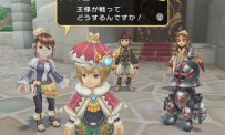 Final Fantasy Crystal Chronicles : My Life as a King