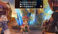 Final Fantasy Crystal Chronicles : My Life as a King