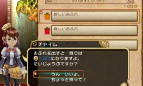 Final Fantasy Crystal Chronicles : My Life as a King