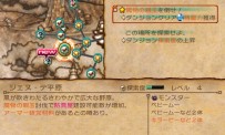 Final Fantasy Crystal Chronicles : My Life as a King