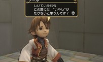 Final Fantasy Crystal Chronicles : My Life as a King