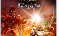 Fire Emblem : Radiant Dawn