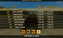 FlatOut 2