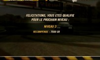 FlatOut 2