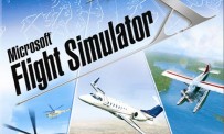 Flight Simulator X