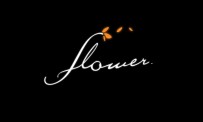Flower : une vidéo au gré du vent