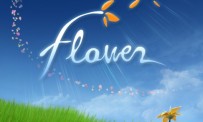 Flower s'explique en vidéo