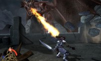 Forgotten Realms : Demon Stone