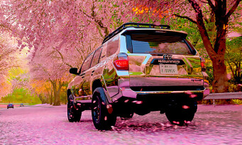Forza Horizon 6 : pourquoi les cerisiers japonais sont impossibles à détruire dans le jeu