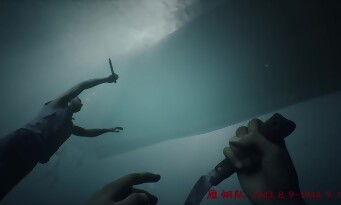 Fourteen Years of Flames