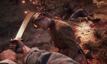 Fourteen Years of Flames