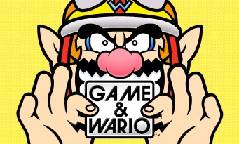 Game & Wario