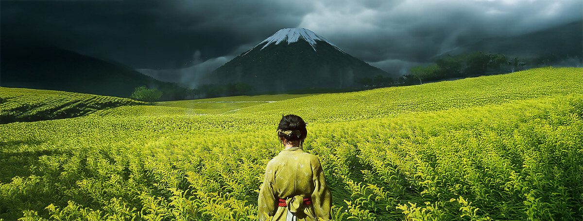 Test Ghost of Yotei : on a fini le jeu et la magie opère toujours autant !