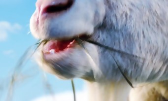 Goat Simulator : la date de sortie sur PS4 et PS3