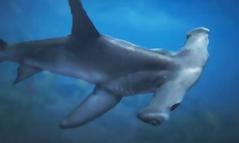 GTA 5 : incarner un requin, un orque, un dauphin ou un poisson