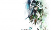 Guild Wars 2