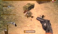 Gun
