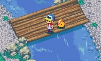 Harvest Fishing