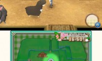 Harvest Moon 3D : A New Beginning