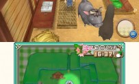 Harvest Moon 3D : A New Beginning