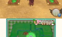 Harvest Moon 3D : A New Beginning