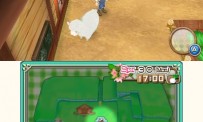 Harvest Moon 3D : A New Beginning