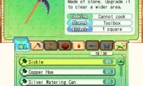 Harvest Moon 3D : A New Beginning