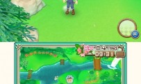 Harvest Moon 3D : A New Beginning