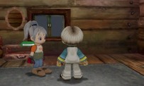 Harvest Moon : Another Wonderful Life