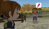 Harvest Moon : Another Wonderful Life