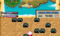 Harvest Moon DS : Ile Sereine