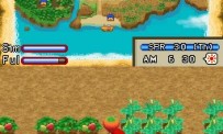 Harvest Moon DS : Ile Sereine