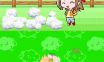 Harvest Moon DS : Ile Sereine