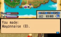 Harvest Moon DS : Ile Sereine