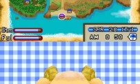 Harvest Moon DS : Ile Sereine