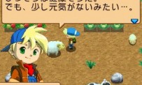 Harvest Moon DS : Ile Sereine