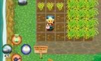 Harvest Moon DS : Ile Sereine