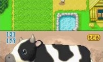 Harvest Moon DS