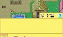 Harvest Moon DS