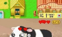 Harvest Moon DS