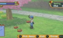 Harvest Moon : Hero of Leaf Valley 