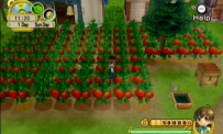 Harvest Moon : L'Arbre de la Sérénité