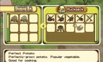 Harvest Moon : L'Arbre de la Sérénité