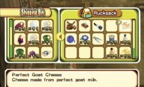 Harvest Moon : L'Arbre de la Sérénité