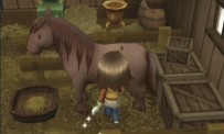 Harvest Moon : L'Arbre de la Sérénité